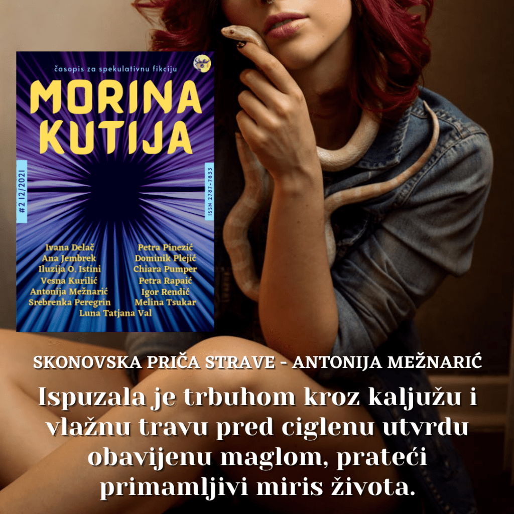Skonovska priča strave – Antonija Mežnarić
