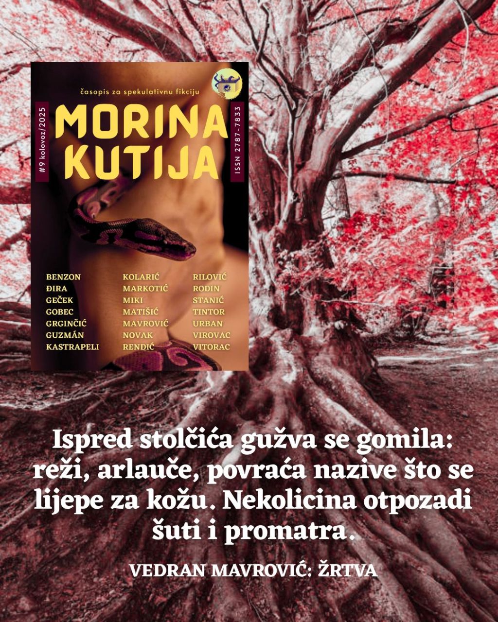 Vedran Mavrović: Žrtva